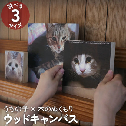 ウッドキャンバス