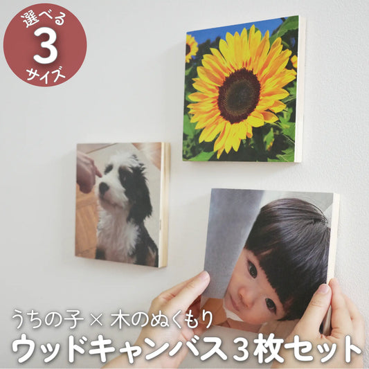 ウッドキャンバス／お得な3点セット