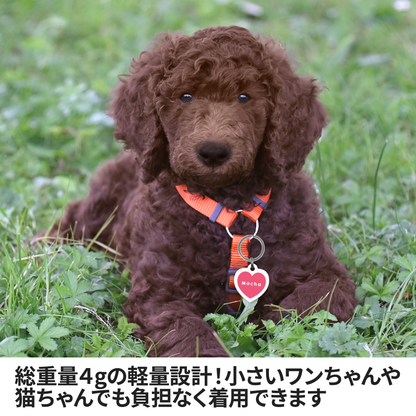 迷子札(ハート)