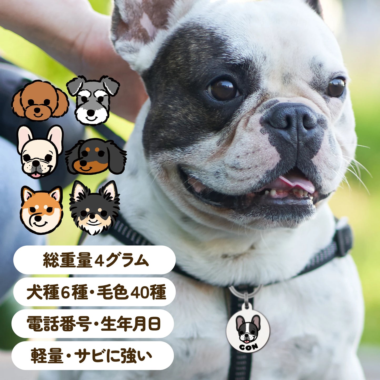 迷子札(犬種イラスト)