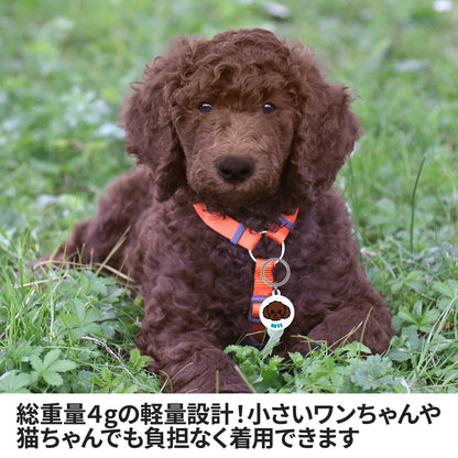 迷子札(犬種イラスト)
