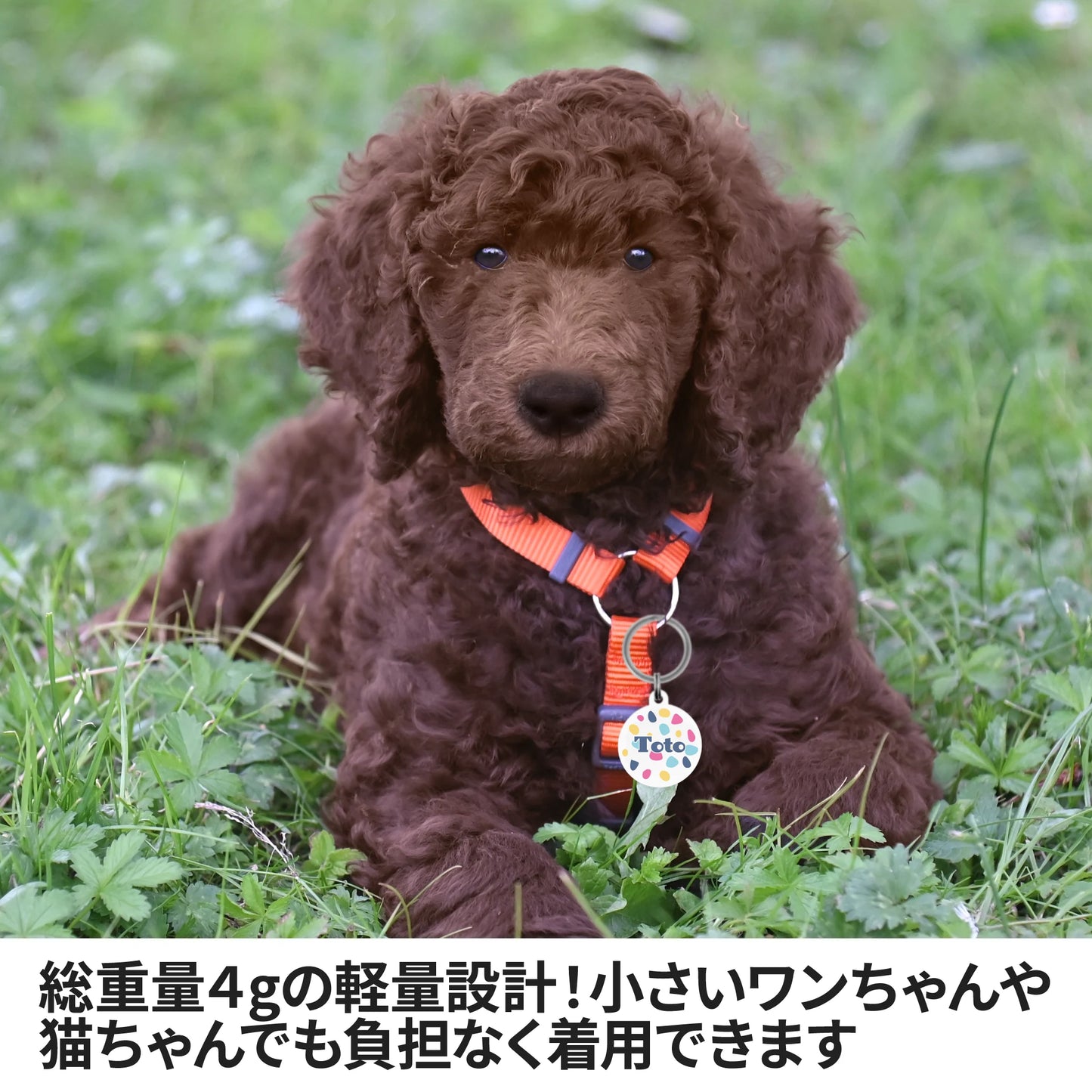 迷子札(テラゾー柄)